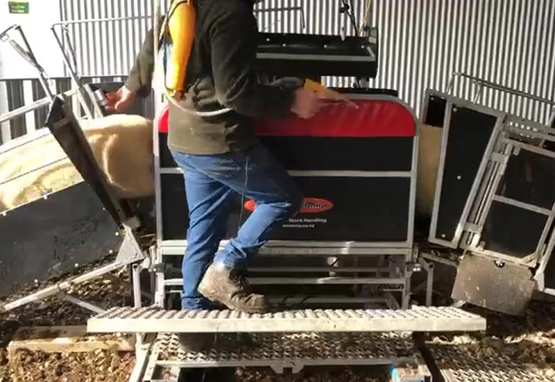 Sheep Handler Manually Operated - Combi Clamp